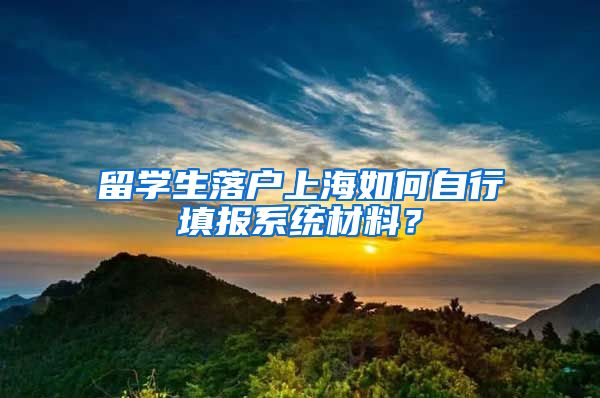 留學(xué)生落戶上海如何自行填報系統(tǒng)材料？