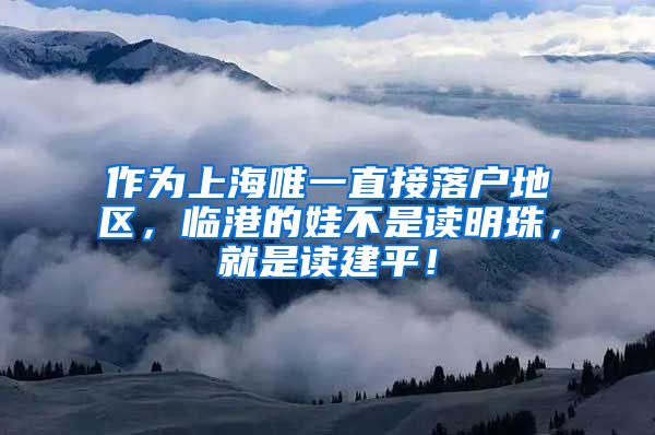 作為上海唯一直接落戶地區(qū)，臨港的娃不是讀明珠，就是讀建平！