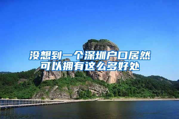 沒(méi)想到一個(gè)深圳戶口居然可以擁有這么多好處