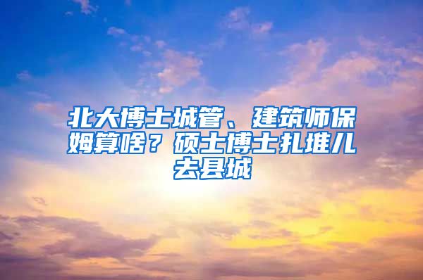 北大博士城管、建筑師保姆算啥？碩士博士扎堆兒去縣城