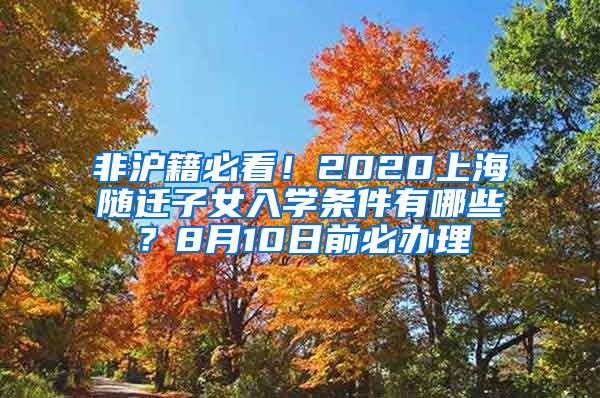 非滬籍必看！2020上海隨遷子女入學(xué)條件有哪些？8月10日前必辦理