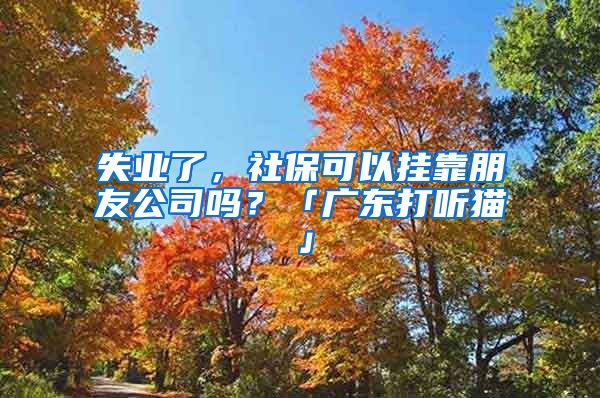 失業(yè)了，社?？梢話炜颗笥压締?？「廣東打聽貓」