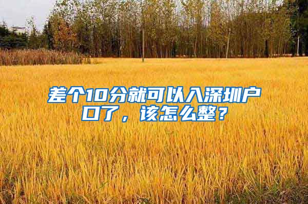 差個10分就可以入深圳戶口了，該怎么整？