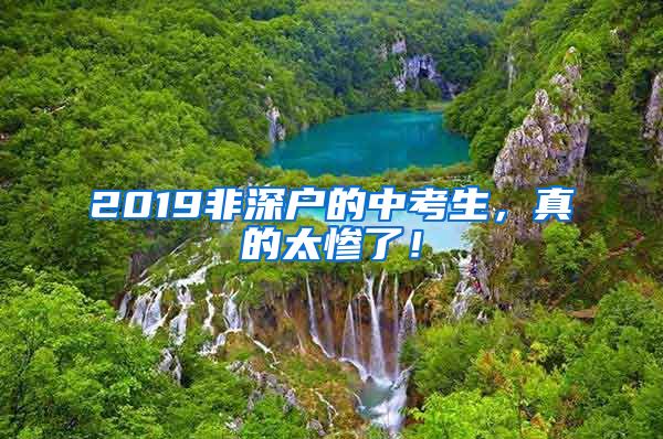 2019非深戶的中考生，真的太慘了！