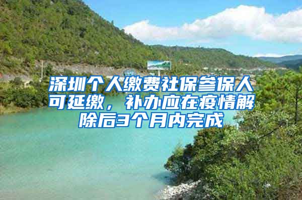 深圳個(gè)人繳費(fèi)社保參保人可延繳，補(bǔ)辦應(yīng)在疫情解除后3個(gè)月內(nèi)完成