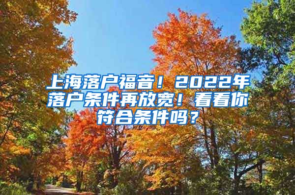 上海落戶福音！2022年落戶條件再放寬！看看你符合條件嗎？