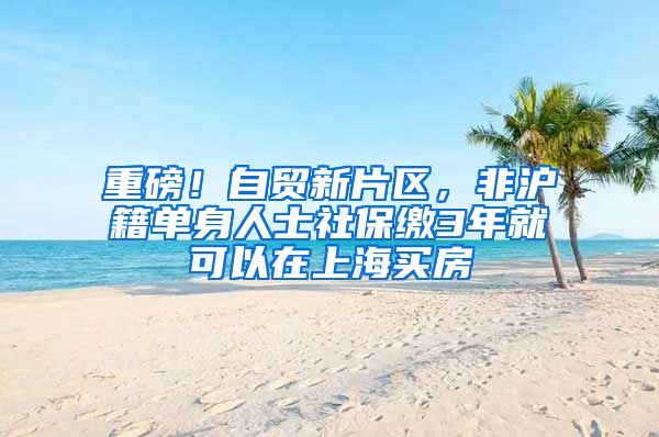 重磅！自貿(mào)新片區(qū)，非滬籍單身人士社保繳3年就可以在上海買房