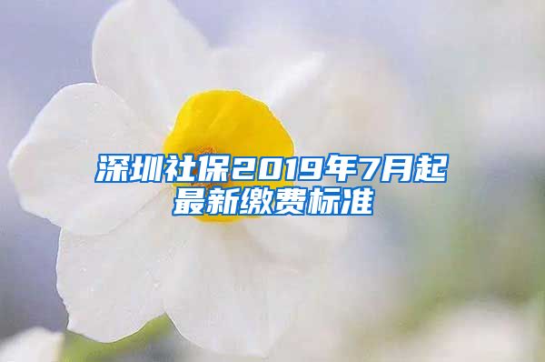 深圳社保2019年7月起最新繳費(fèi)標(biāo)準(zhǔn)