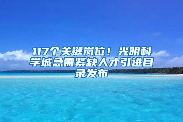 117個關鍵崗位！光明科學城急需緊缺人才引進目錄發(fā)布