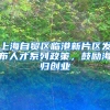 上海自貿(mào)區(qū)臨港新片區(qū)發(fā)布人才系列政策，鼓勵(lì)海歸創(chuàng)業(yè)