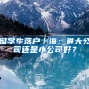 留學生落戶上海：進大公司還是小公司好？